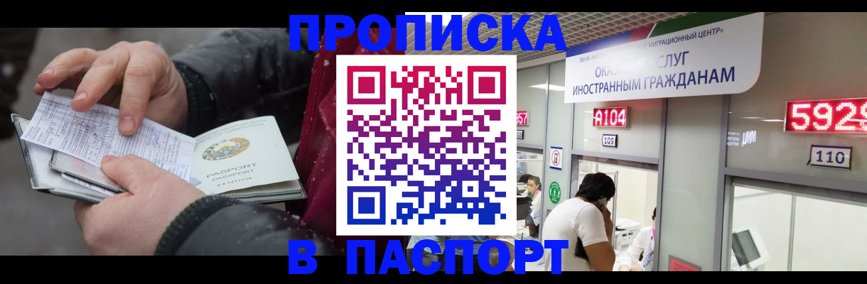 прописка гарантия в Тынде